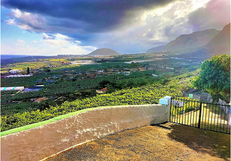 Finca en buenavista norte
